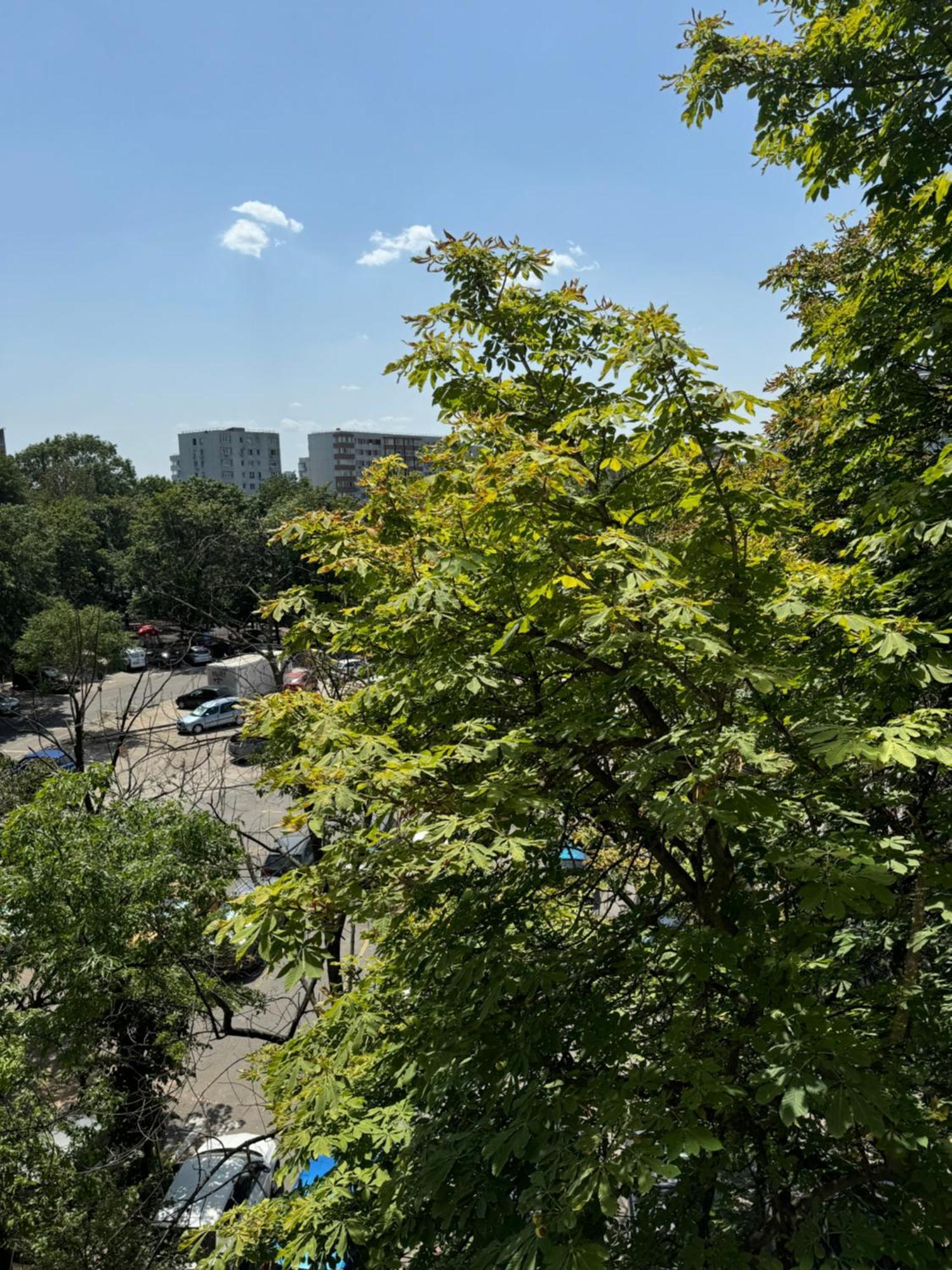 Park Lake Apartment 부쿠레슈티 외부 사진