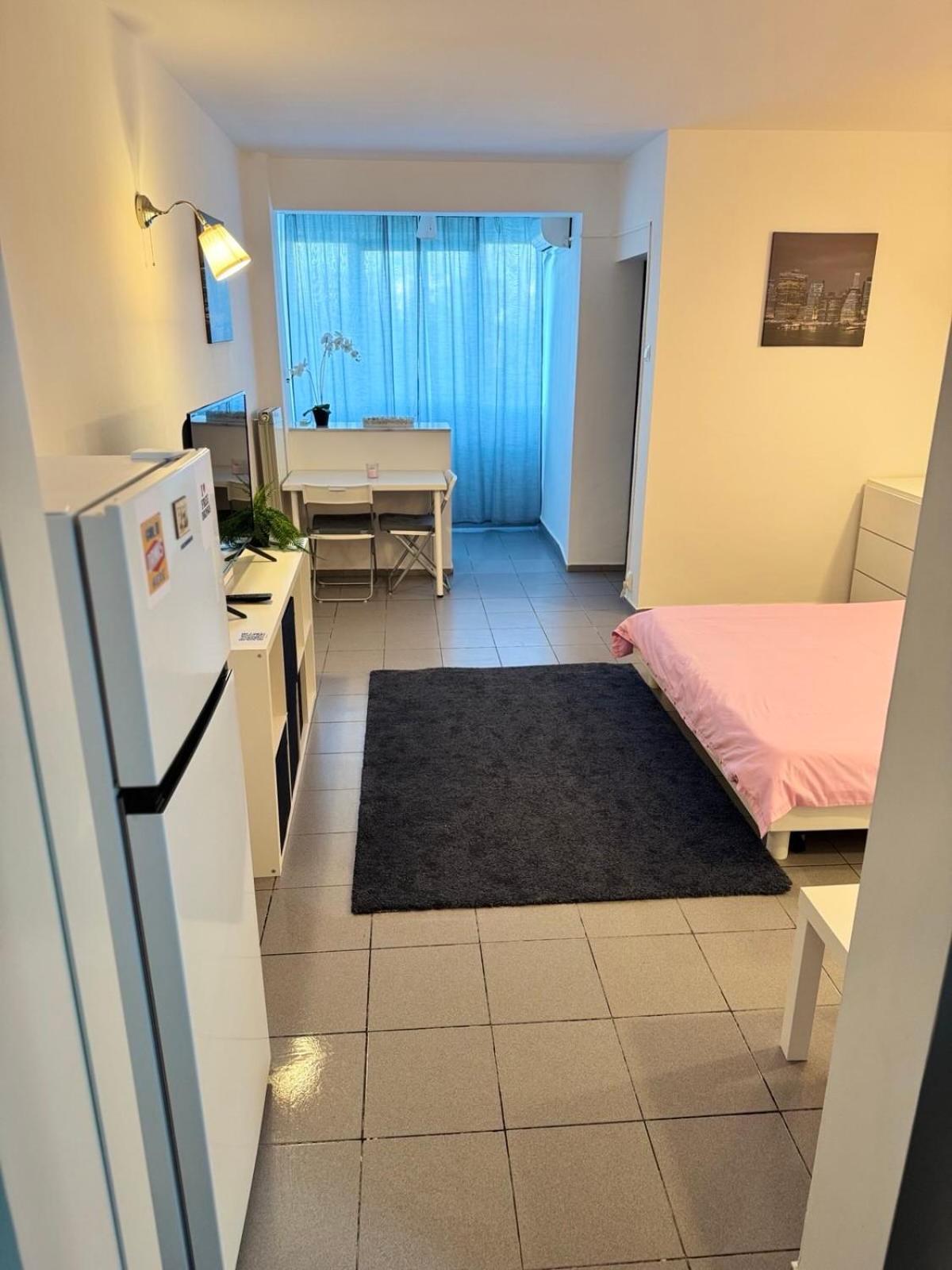 Park Lake Apartment 부쿠레슈티 외부 사진